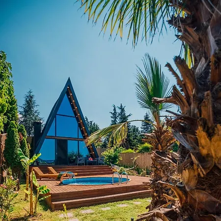 Bloom - Palm Tatil Evi *