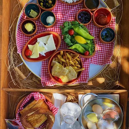 Bloom - Palm Tatil Evi *