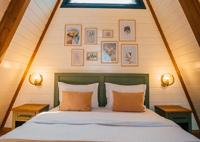 Bloom - Palm Сапанча